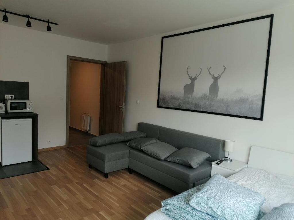Apartamento Brand New #71 With Free Secure Parking In The Center *
